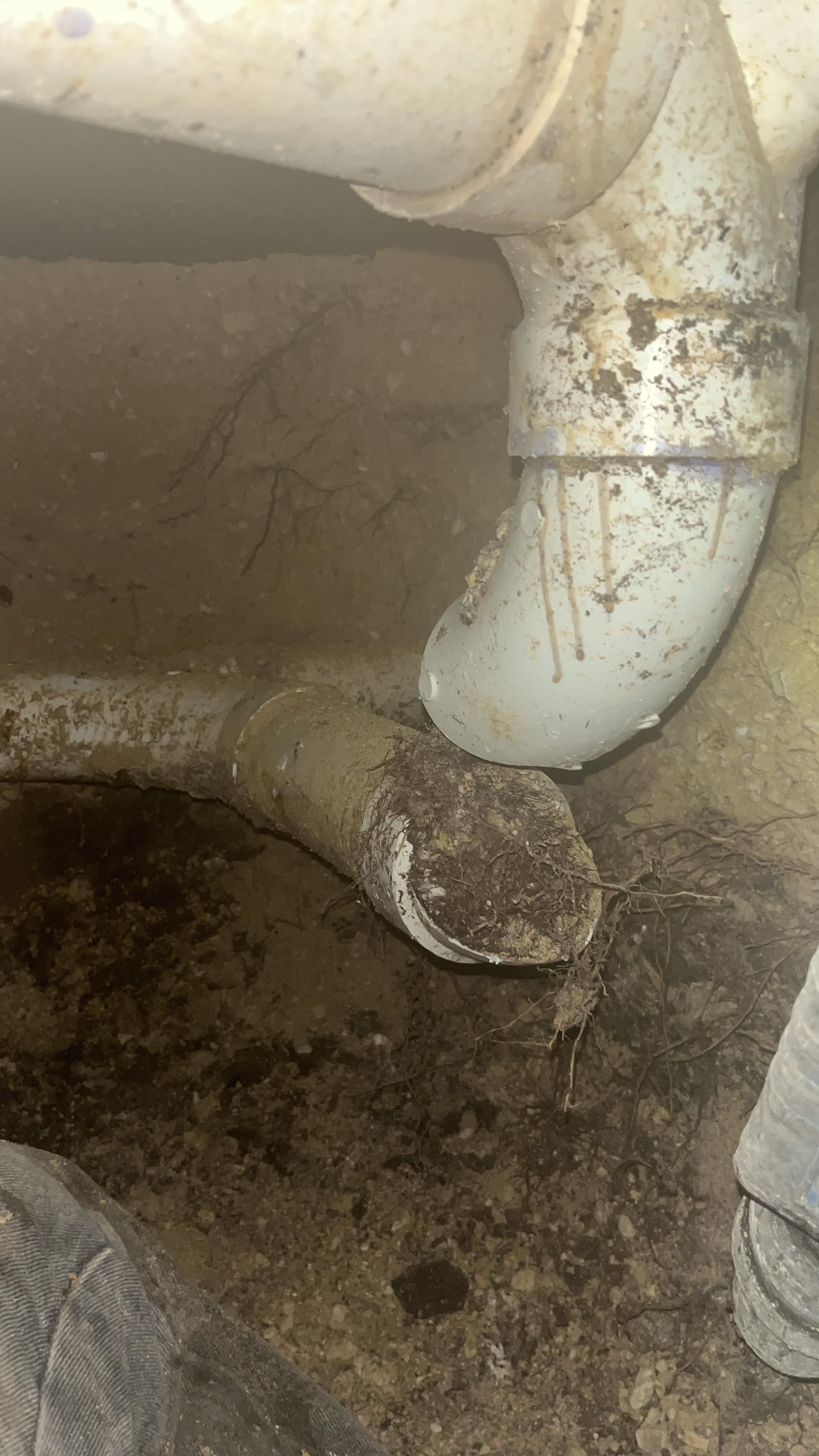 What Causes Drain Lines to Break Under a Foundation? image